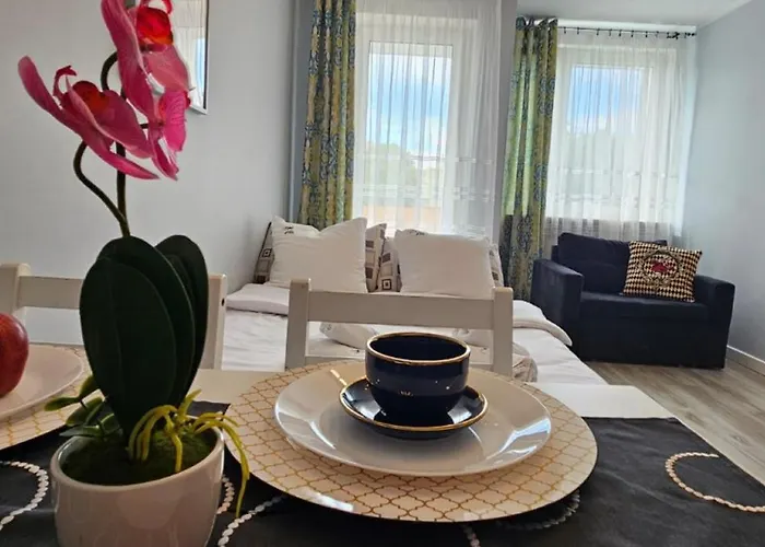 Apartament Dworska 33
