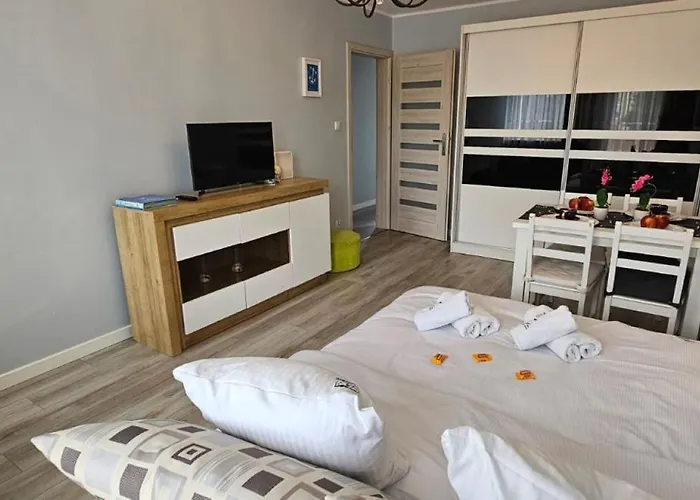 Apartament Dworska 33